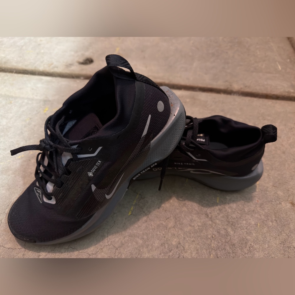 Nike Pegasus Trail 5 Gore Tex